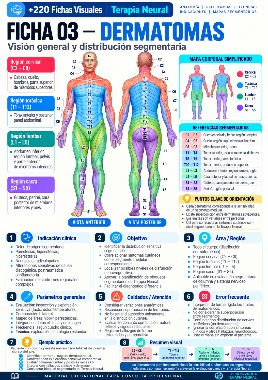 Dermatomas