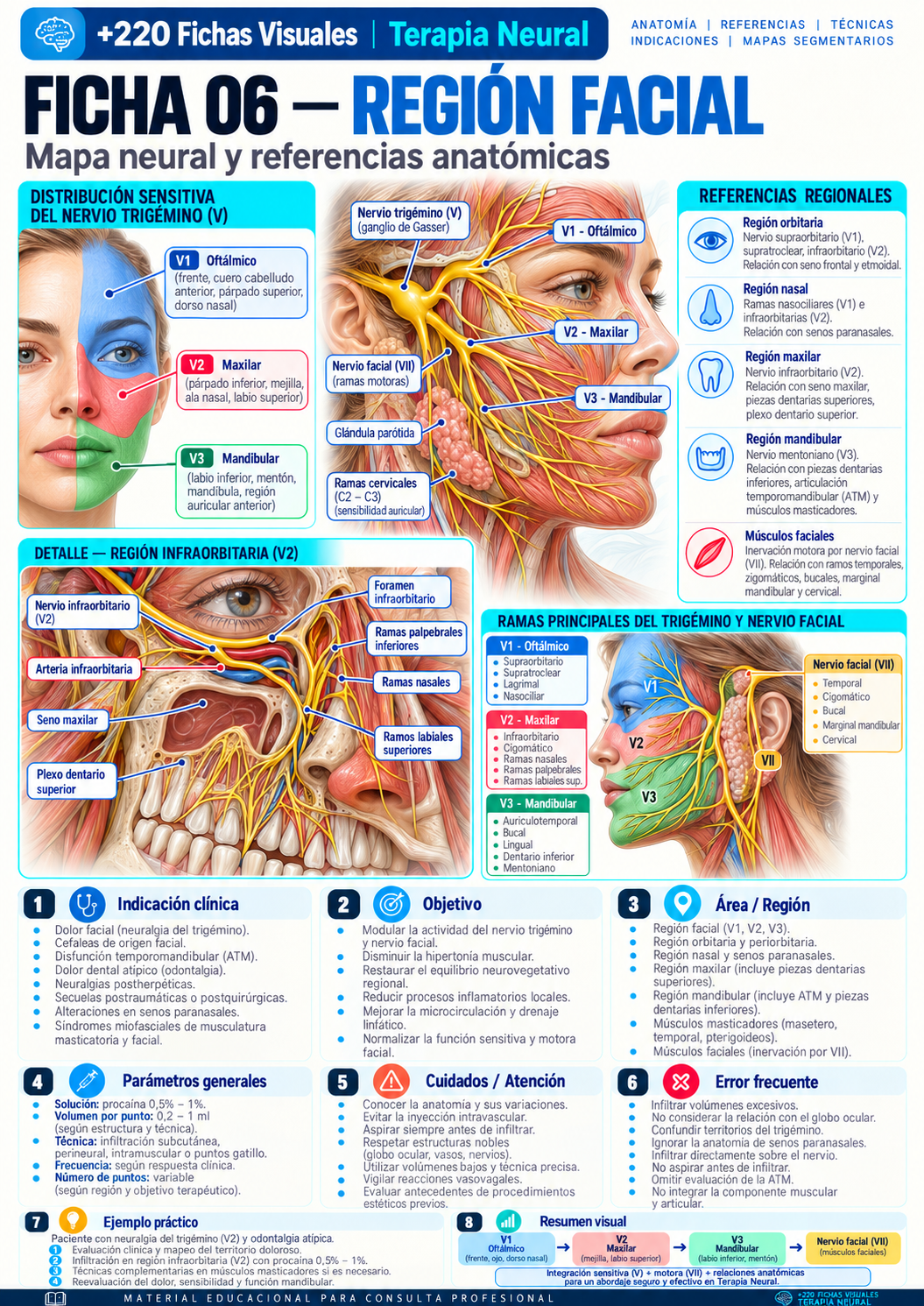 Región facial