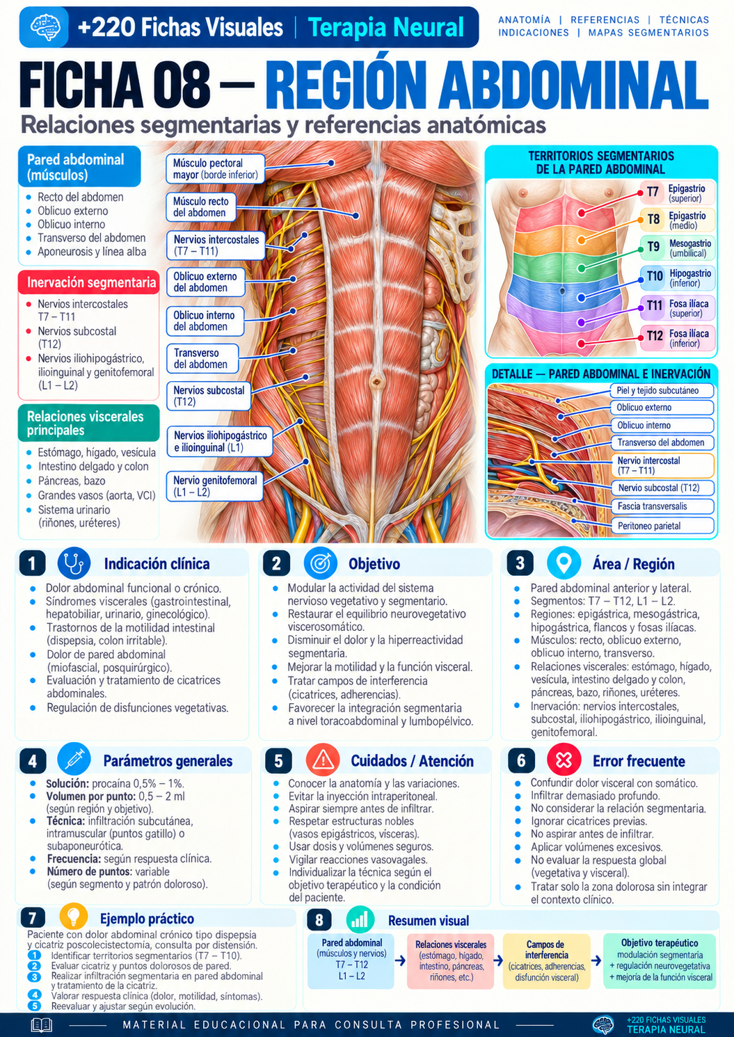 Región abdominal