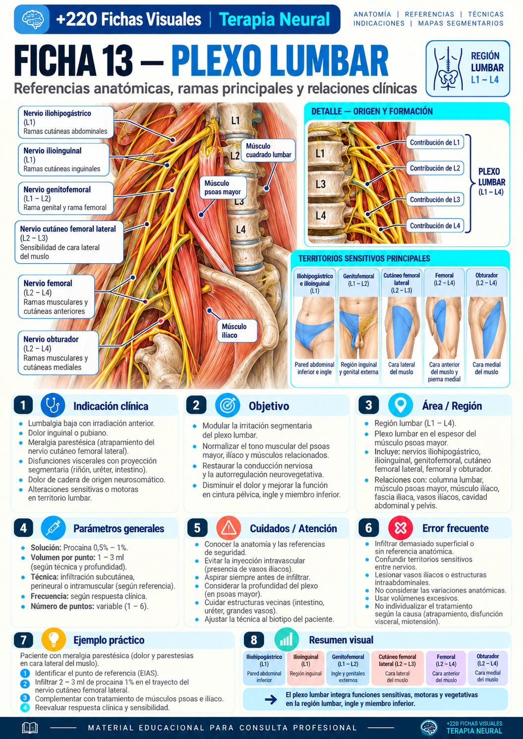 Plexo lumbar
