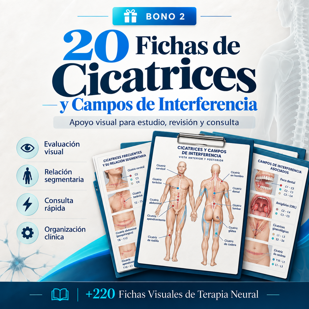Fichas de Cicatrices y Campos de Interferencia
