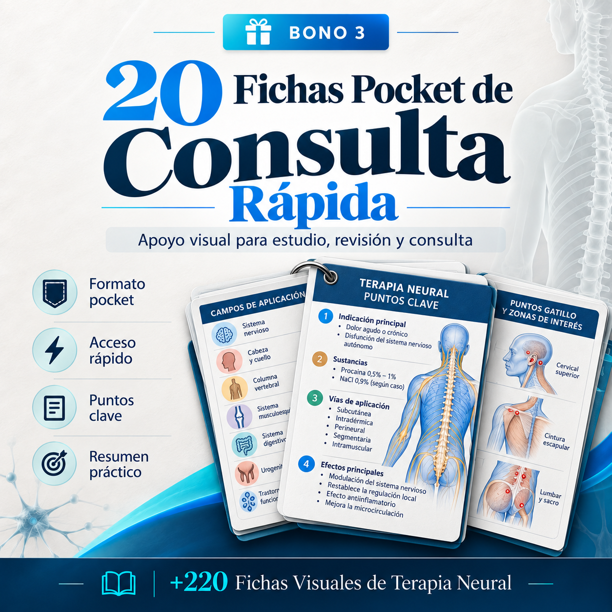 Fichas Pocket de Consulta Rápida