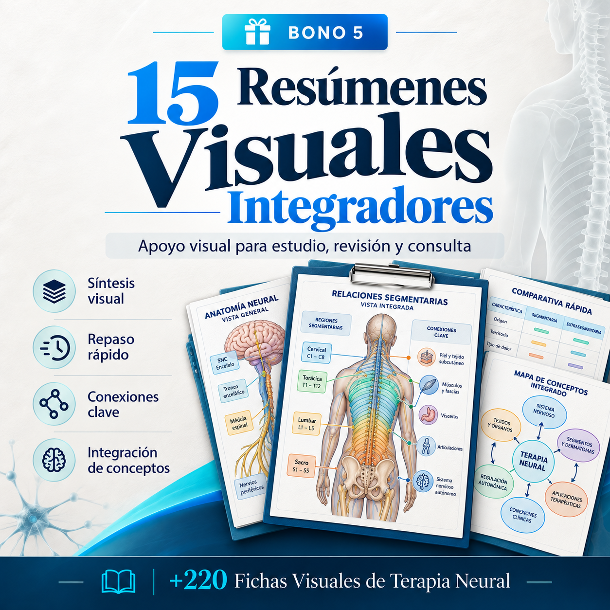 Resúmenes Visuales Integradores